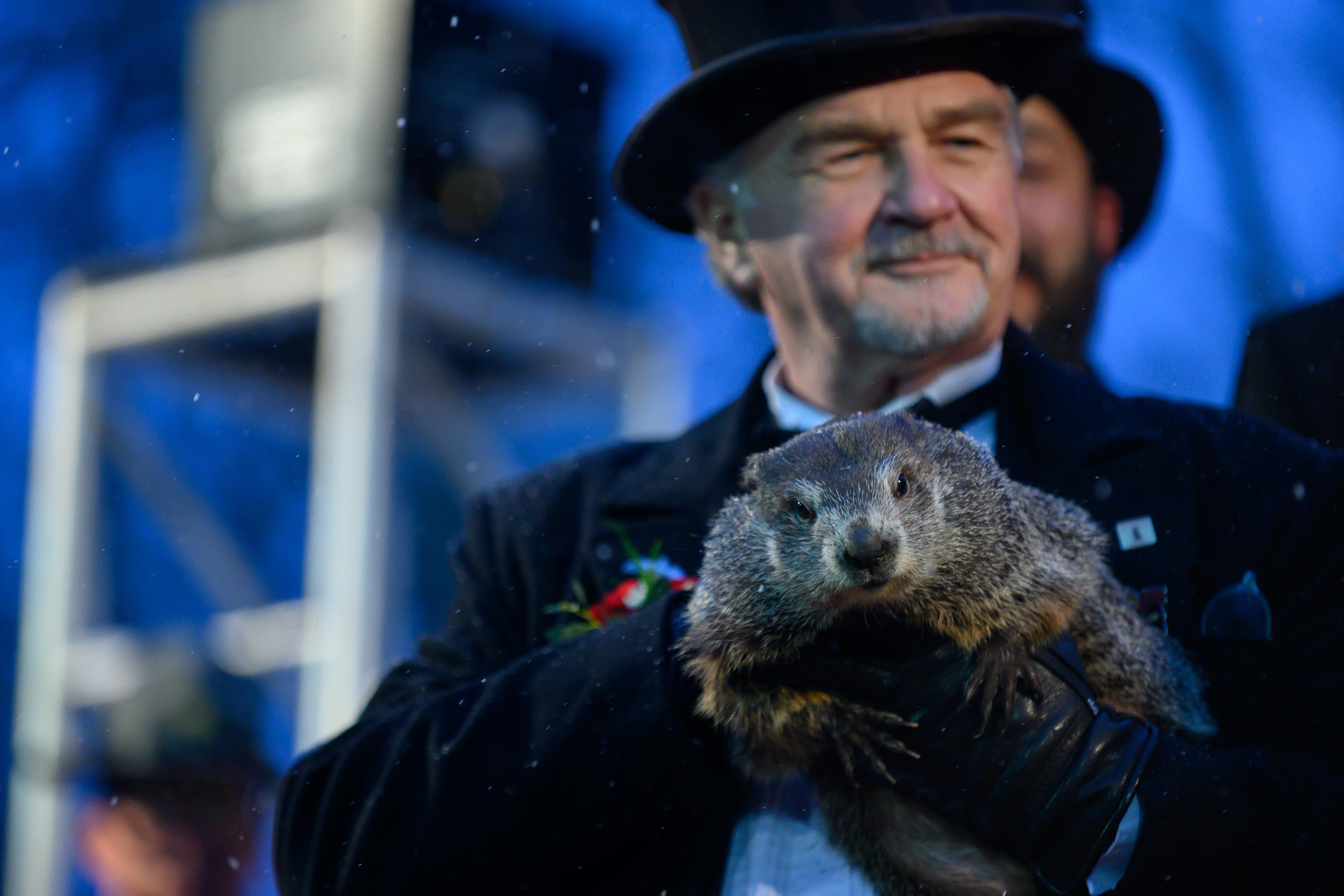 Groundhog handler John Griffiths holds Punxsutawney Phil, who did not see his shadow, predicting an early or late spring during the 134th annual Groundhog Day festivities on February 2, 2020 in Punxsutawney, Pennsylvania. 