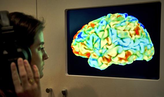 A woman looks at a functional magnetic resonance image (fMRI)