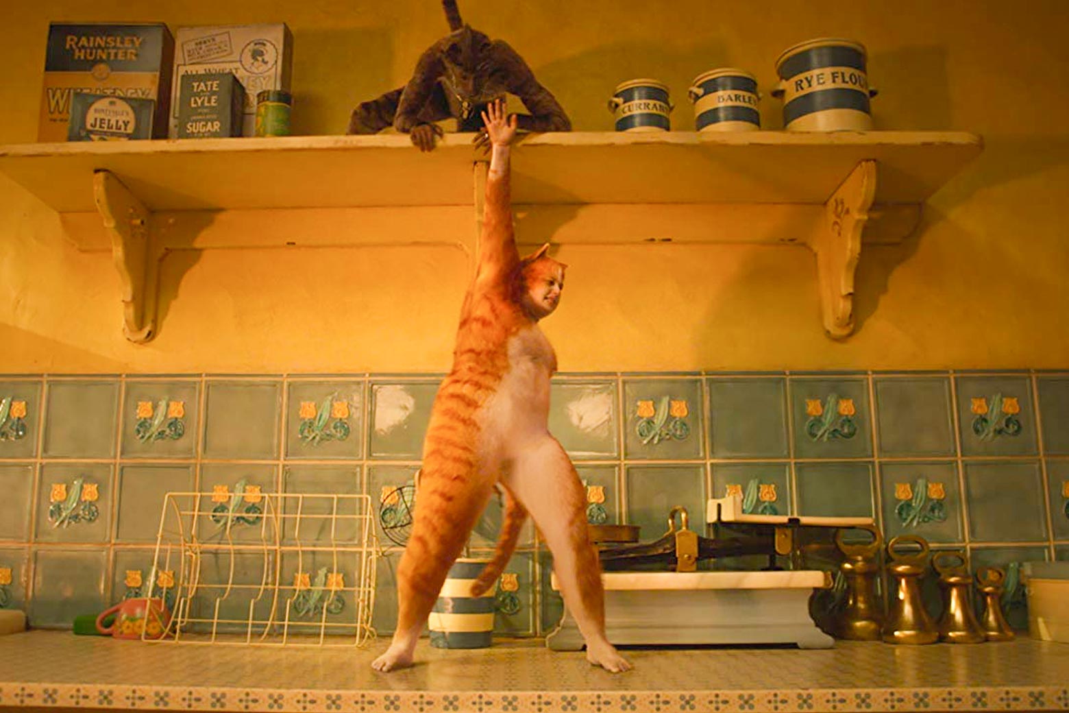 Cats movie: an interview with the "cat movement expert." - Vimarsana News