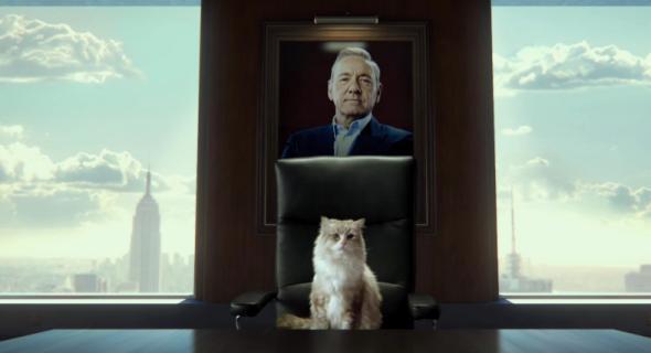 Nine Lives trailer: Watch Kevin Spacey be a cat with Christopher Walken.