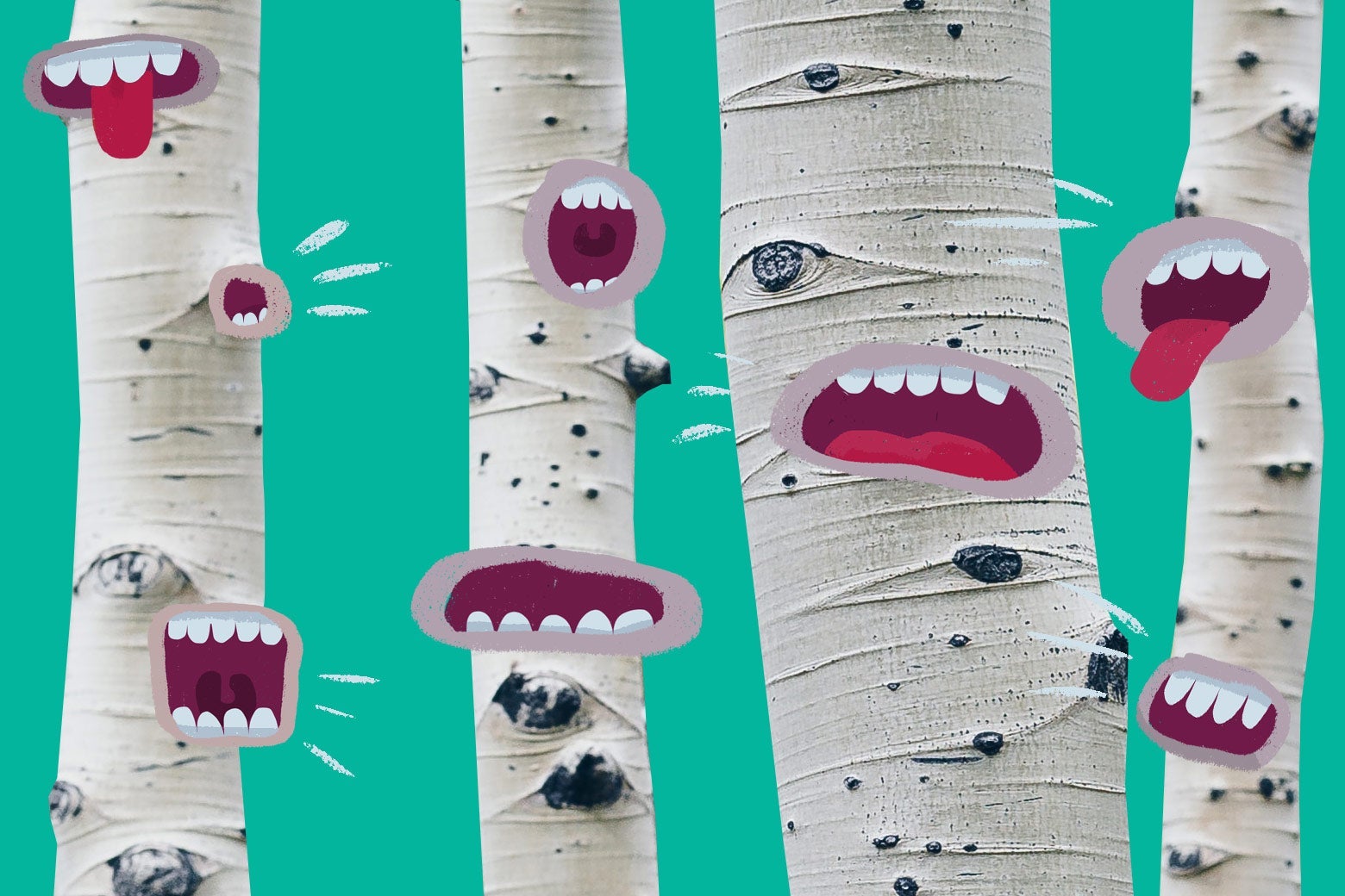 Photo illustration of trees with mouths that are speaking.