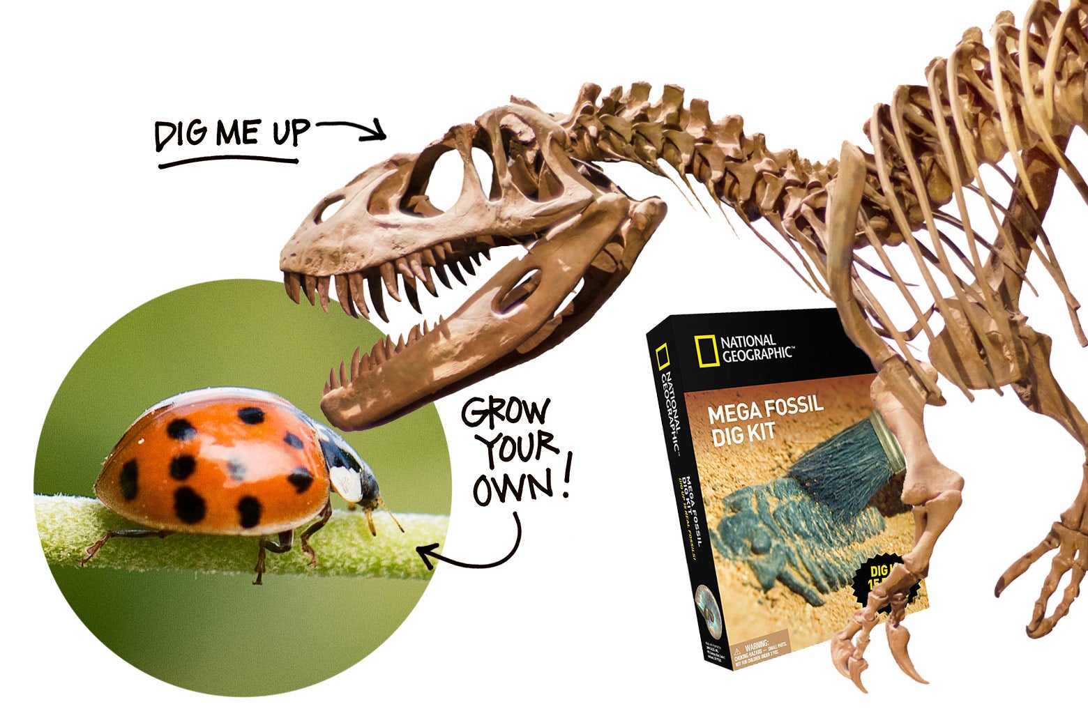 dinosaur kits for toddlers