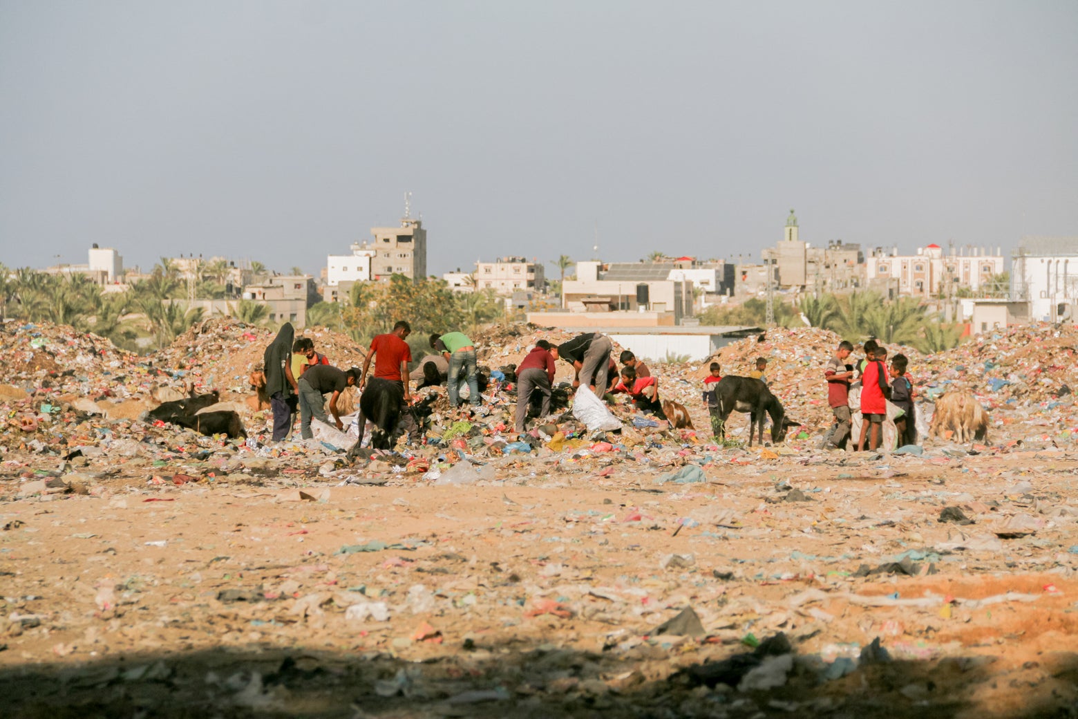 Election Day 2024: What Gazans think about Donald Trump and Kamala Harris.