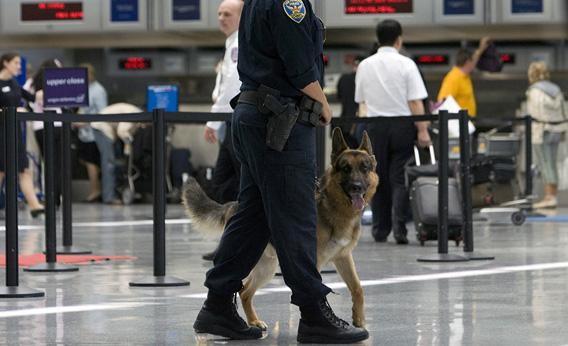 A policeman and a sniffer dog patrol the ticketing area of the International Terminal at the San Francisco International Airport