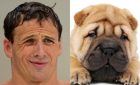 Lochte and Shar-Pei