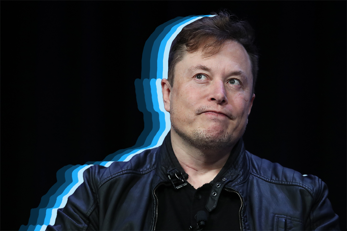 Elon Musk grimacing, with blue stripes radiating out from him in the Twitter color scheme