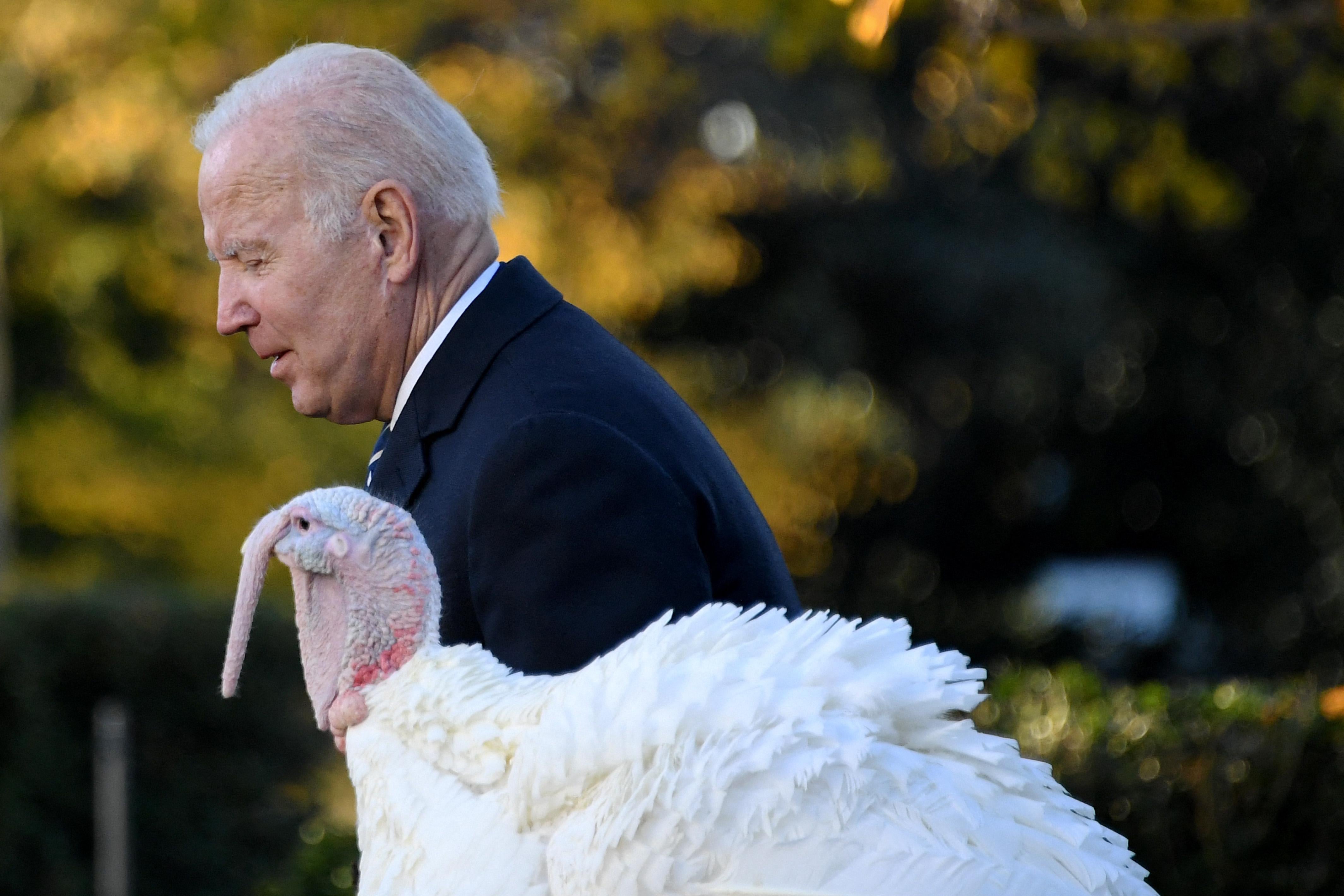 Joe Biden and a turkey, both in profile.