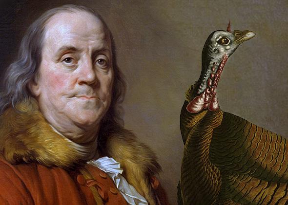 Benjamin Franklin, Wild Turkey