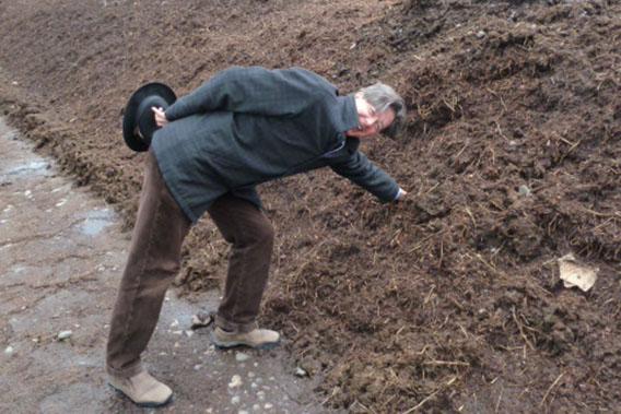 The author reaches his hand into a pile of compost.