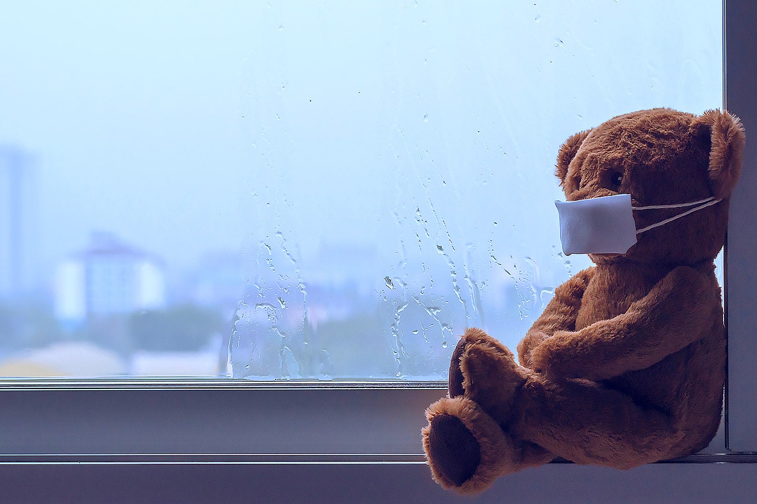 A teddy bear wearing a mask, sitting cross-legged, and looking out of a window on a rainy day.