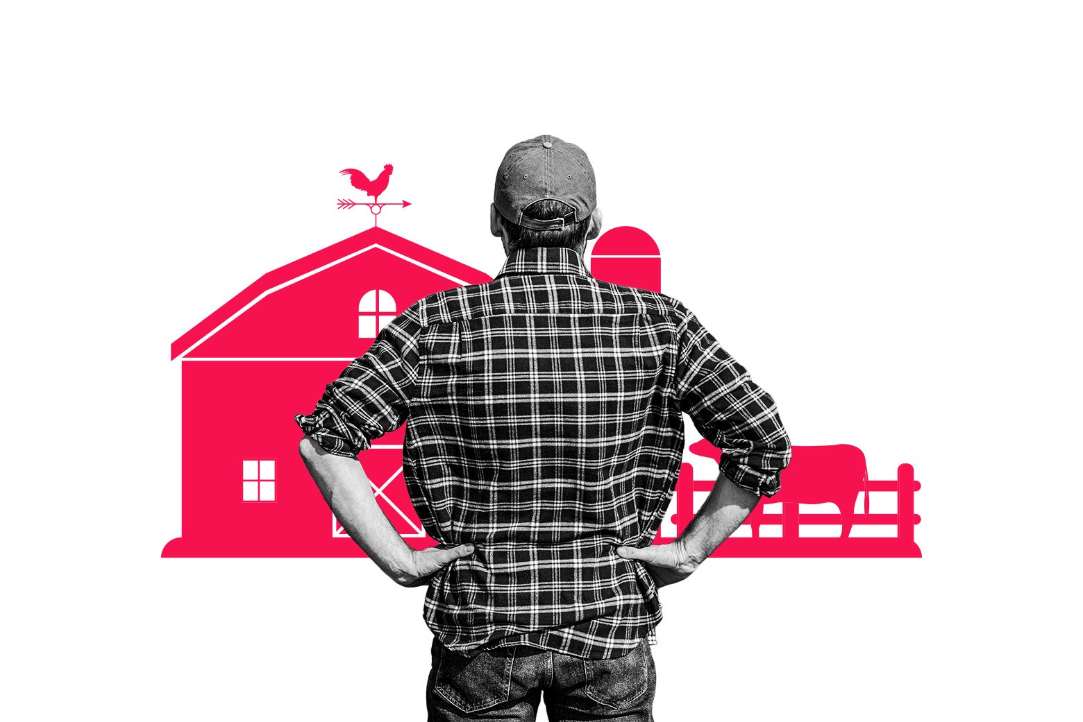 slate.com - Jenée Desmond-Harris - I Invited My Broke Friends to Come Live on My Farm Under One Condition. They've Already Broken It.