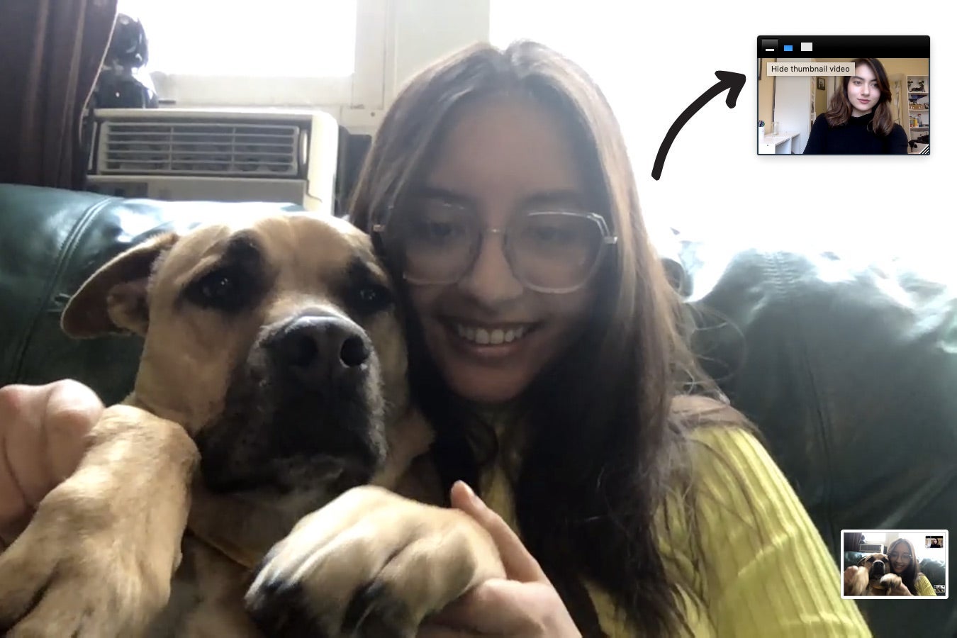 A woman holds up a dog on Zoom. An arrow points to the image of another user in the top right, with the option to "Hide thumbnail video."  