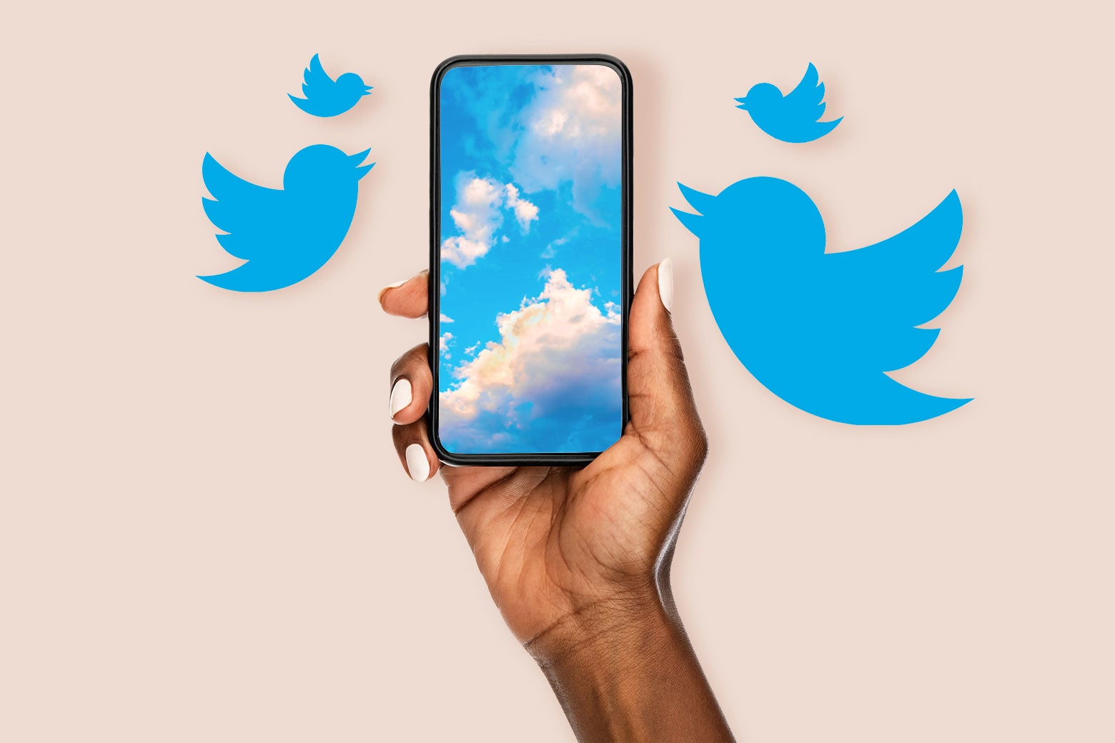 A person holding up a smartphone with an image of a blue sky onscreen, with several Twitter bluebirds hovering around the phone.
