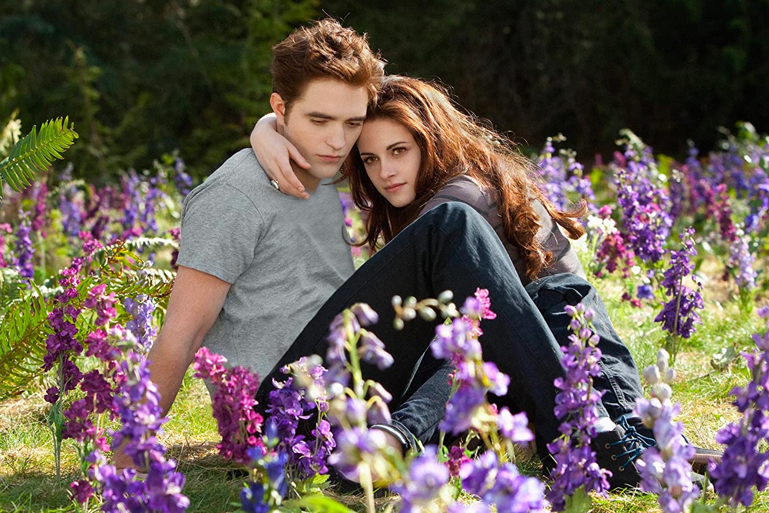 Edward and Bella in a meadow.