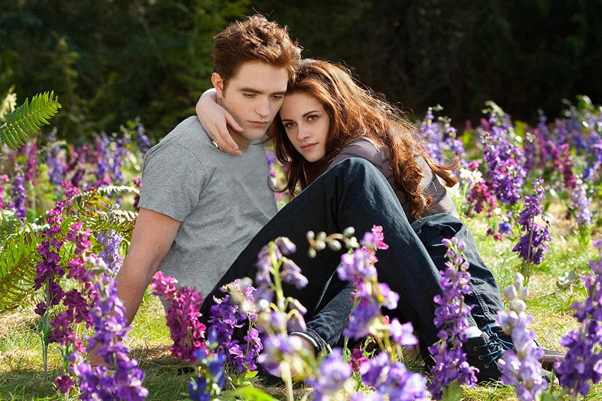 New Twilight Book Midnight Sun Two Fans Discuss Stephenie Meyer S Edward Cullen Focused Retelling