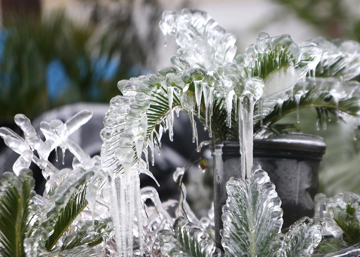 Deep Freeze Florida