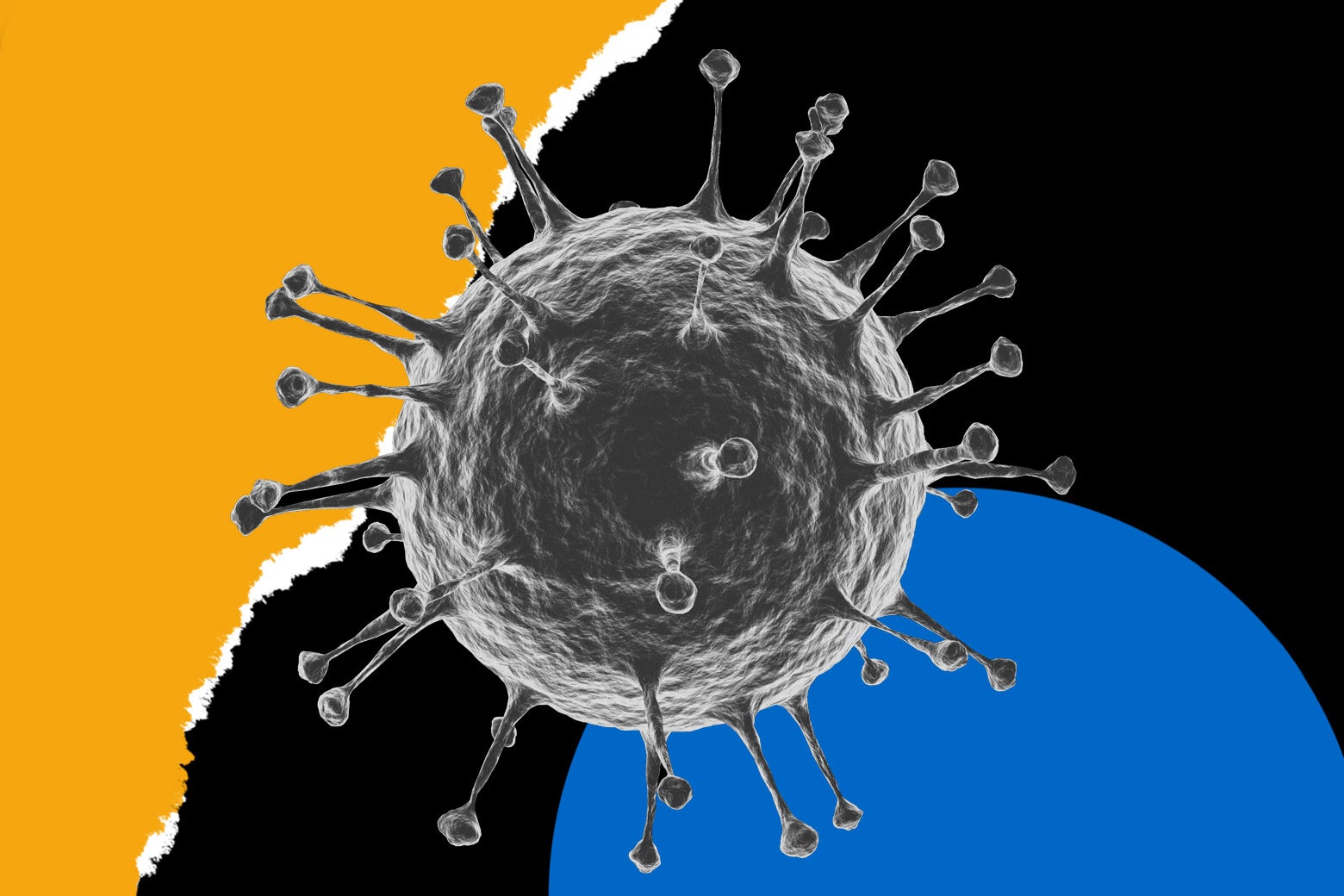 Another Summer of COVID Another Summer of COVID