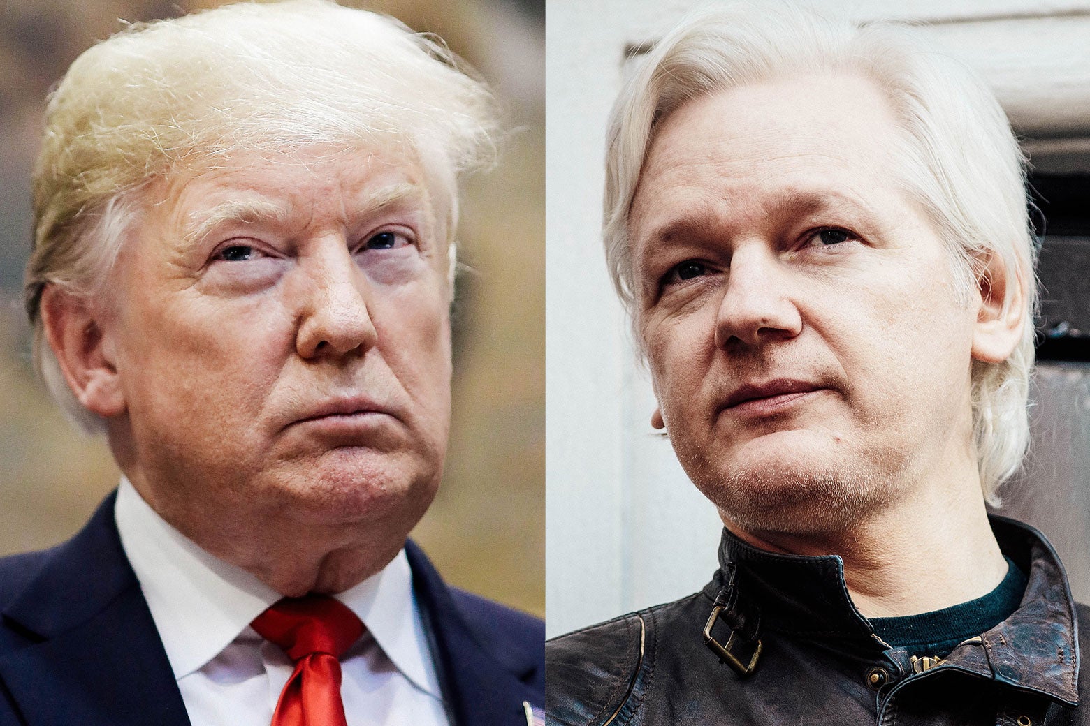 Donald Trump, Julian Assange