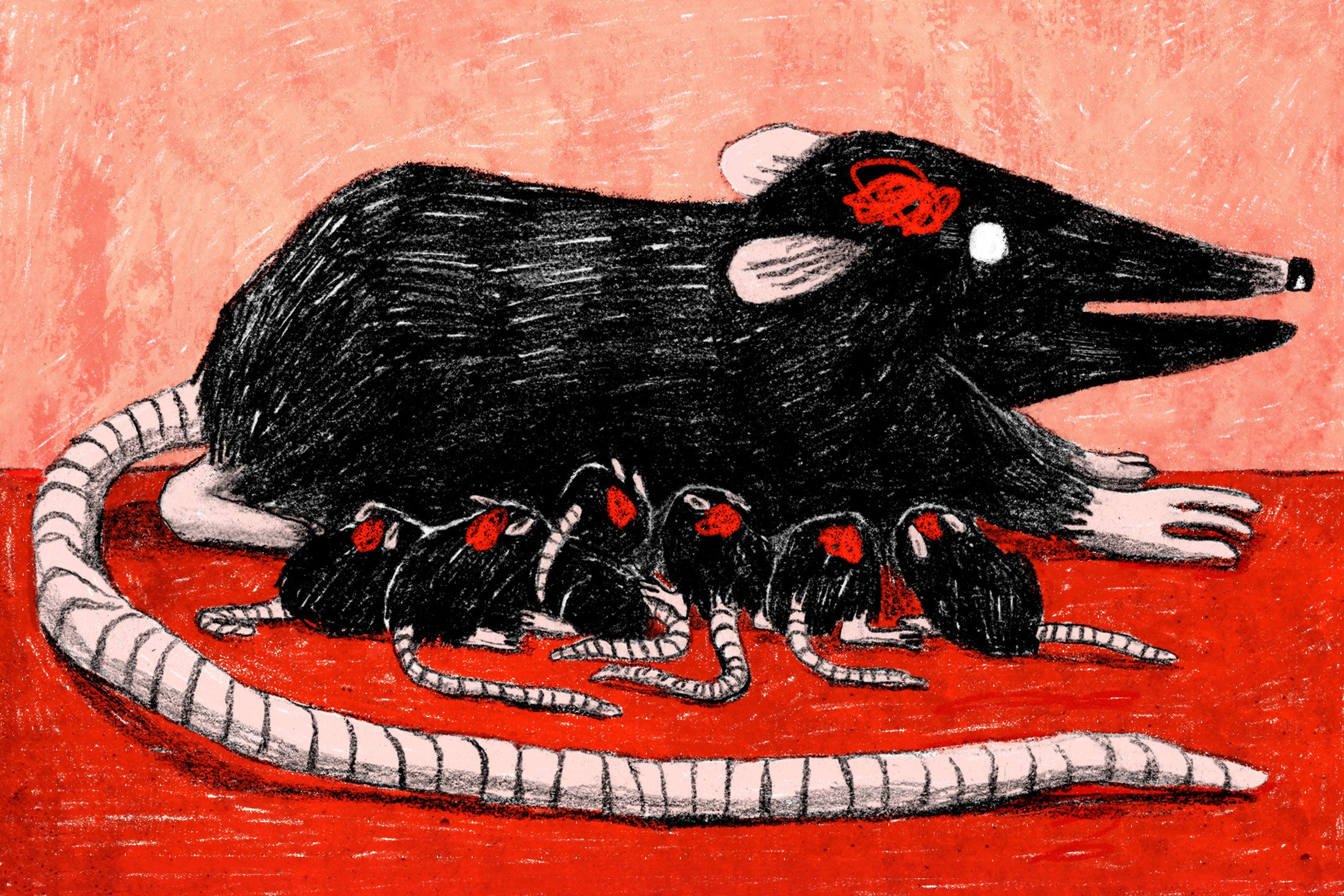 Illustration: Baby rats nurse from their mother, while a squiggle in the approximate location of their brains suggests that knowledge is passed down through their genetic line.