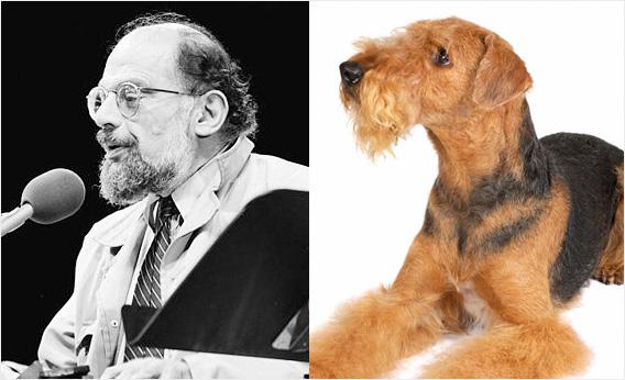 Allen Ginsberg and an airedale.