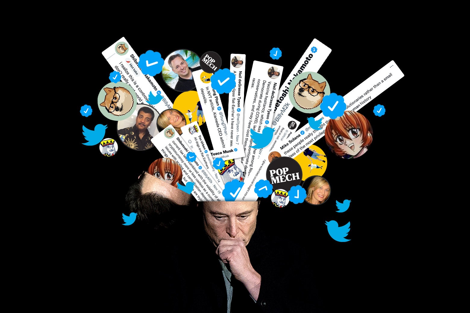 Elon Musk s Twitter Feed I Made An Account To Follow The Same 131 avatar-films-avatar-james-cameron-sam-worthington-blue-cats-light