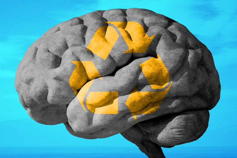 A brain with a recycle symbol overlaid on it.