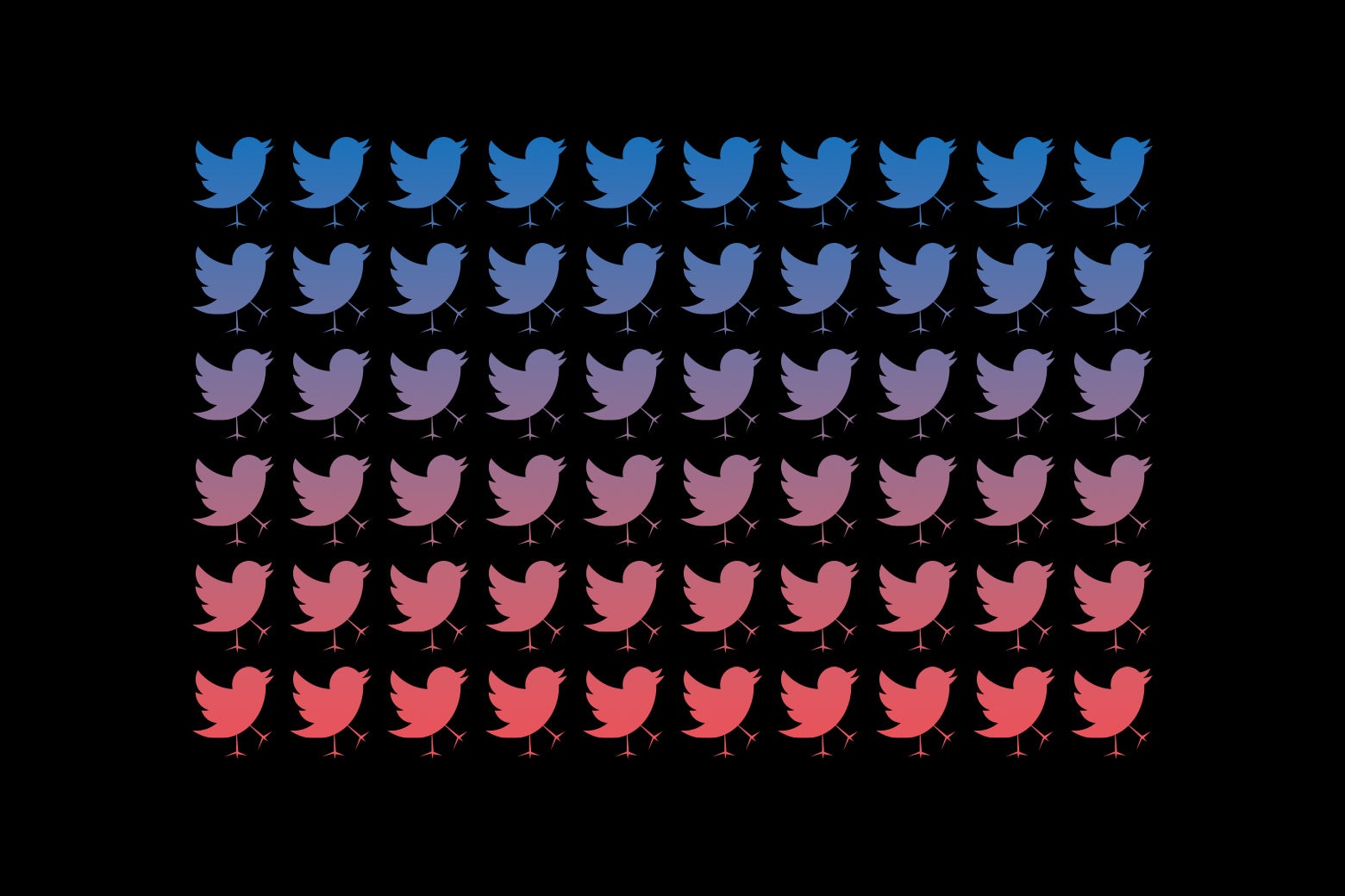 A collage of several duplicates of the Twitter logo, in blue, purple, pink, and red. 