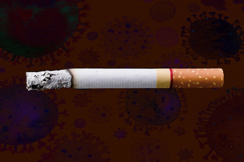 A single burned cigarette on a backdrop of coronavirus cells