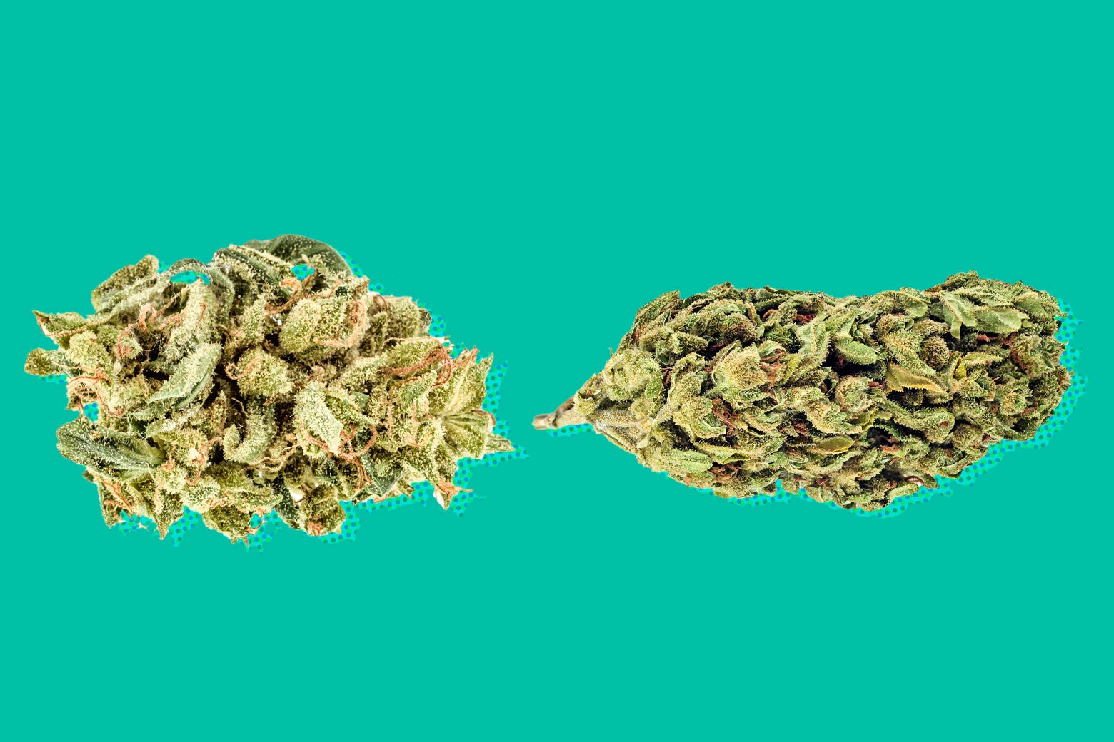 Two buds of weed.