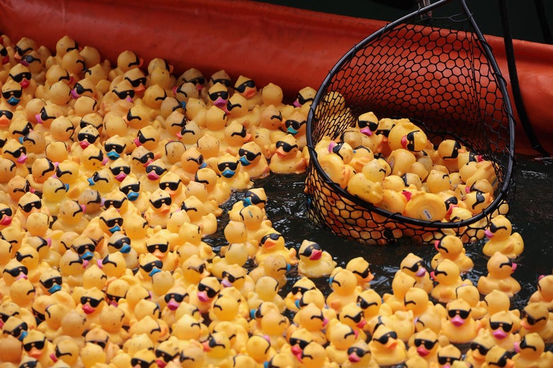 Dozens and dozens of yellow rubber ducks wearing sunglasses