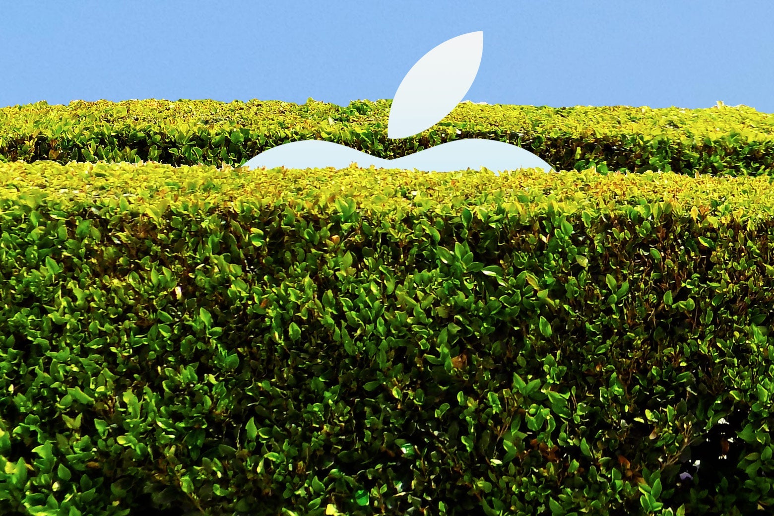 An Apple logo peering from behind a tall hedge—a walled garden.
