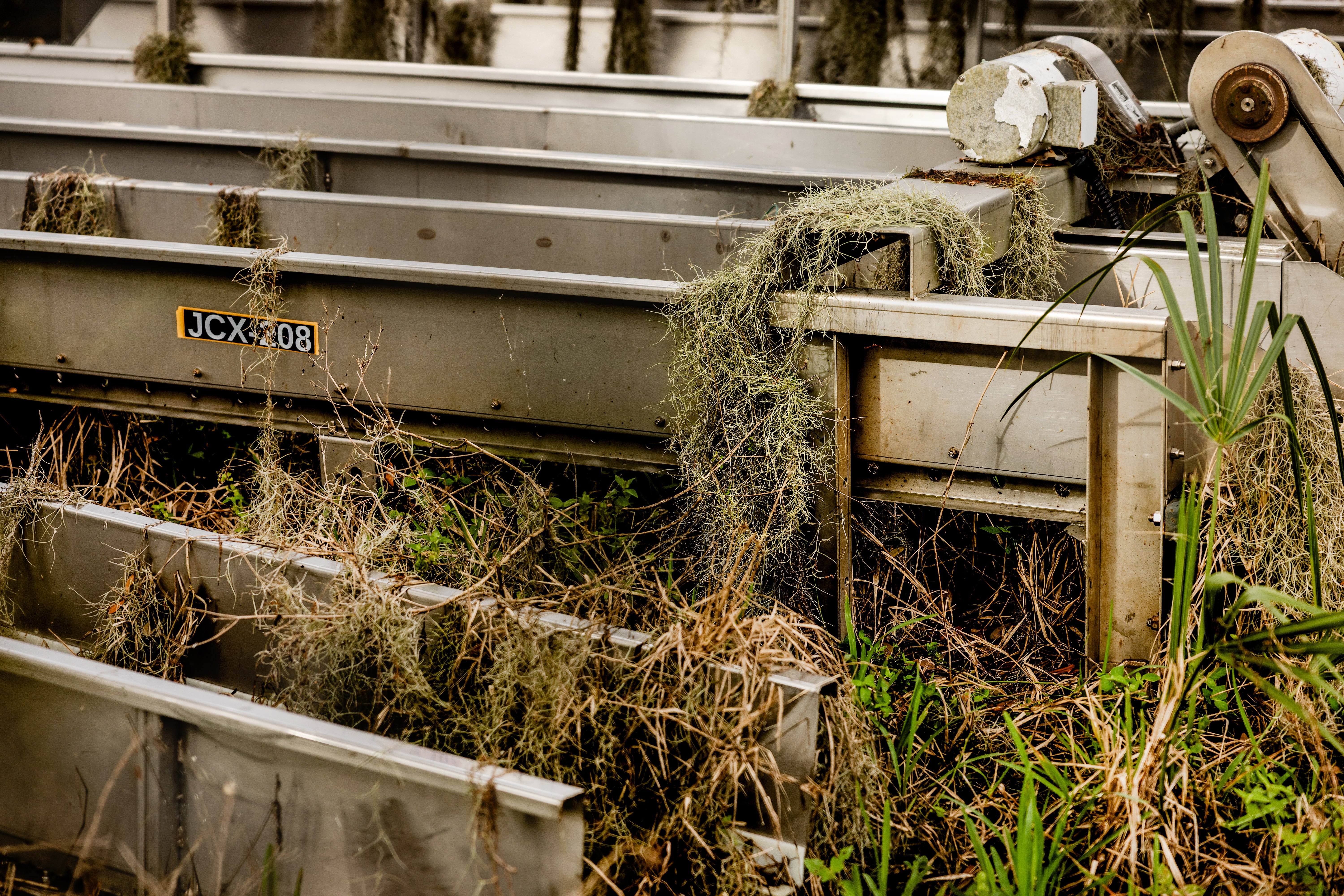 Equipment that has been overgrown with Spanish moss. 