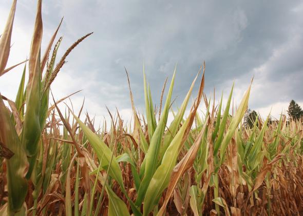 Farmer's Almanac, Old Farmers' Almanac Have Terrible Meteorological ...