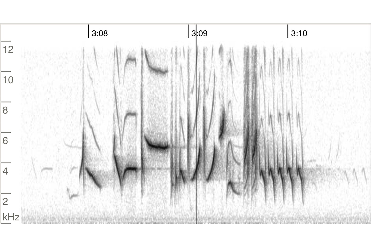 A spectrogram of the birdsong at 3:07.