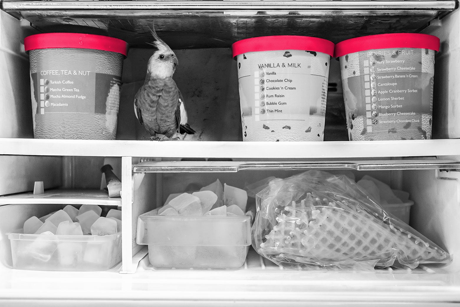My Mother-in-Law Needs to Move in With Us. But She’s Insisting on Bringing Something Chilling.