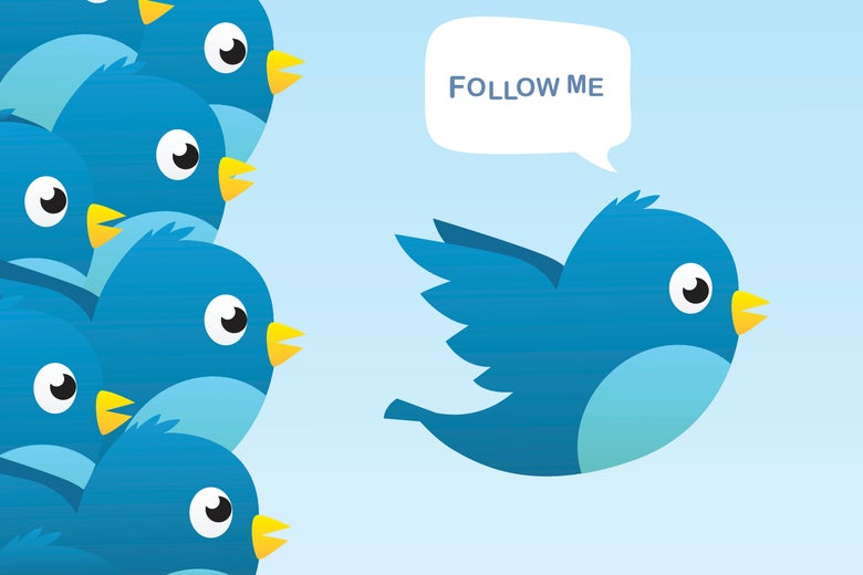Twitter bird calls for others to follow.