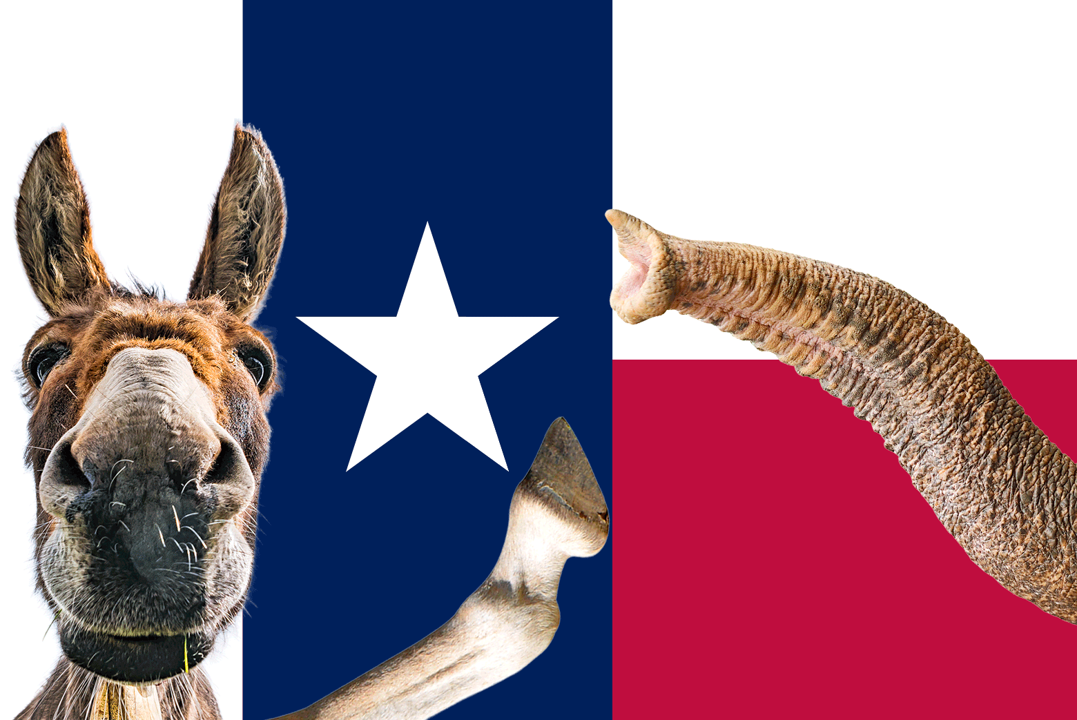 An elephant and donkey push a line back and forth across a Texas flag, symbolizing the struggle over redistricting.