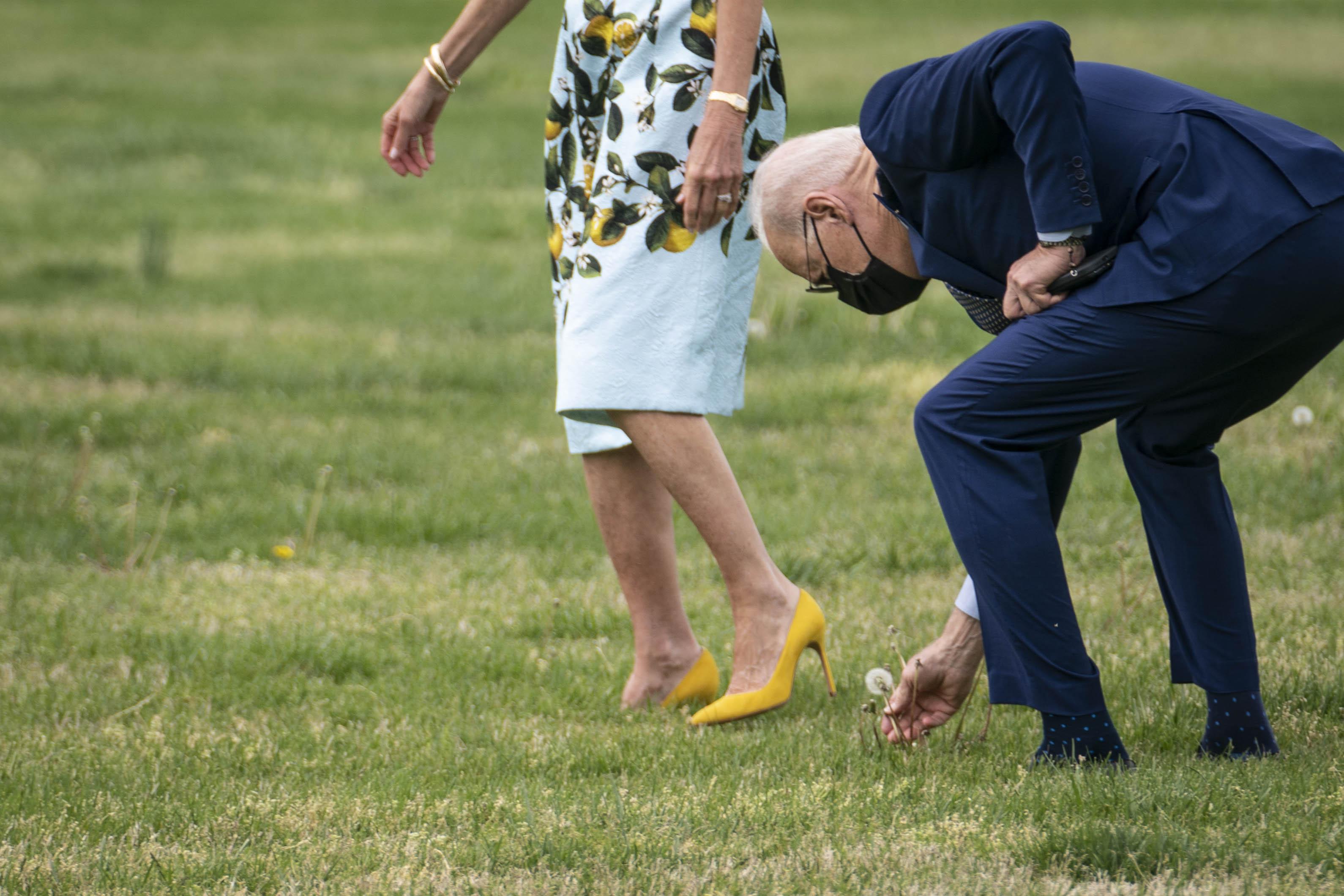 President Joe Biden picks a dandelion for first lady Jill Biden as they walk to Marine One on the Ellipse near the White House on April 29, 2021 in Washington, D.C.