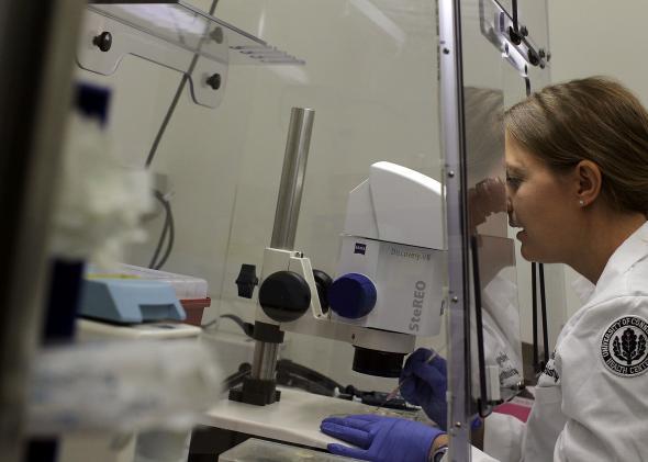 Penis researchers measure average penis size in comprehensive new penis study.