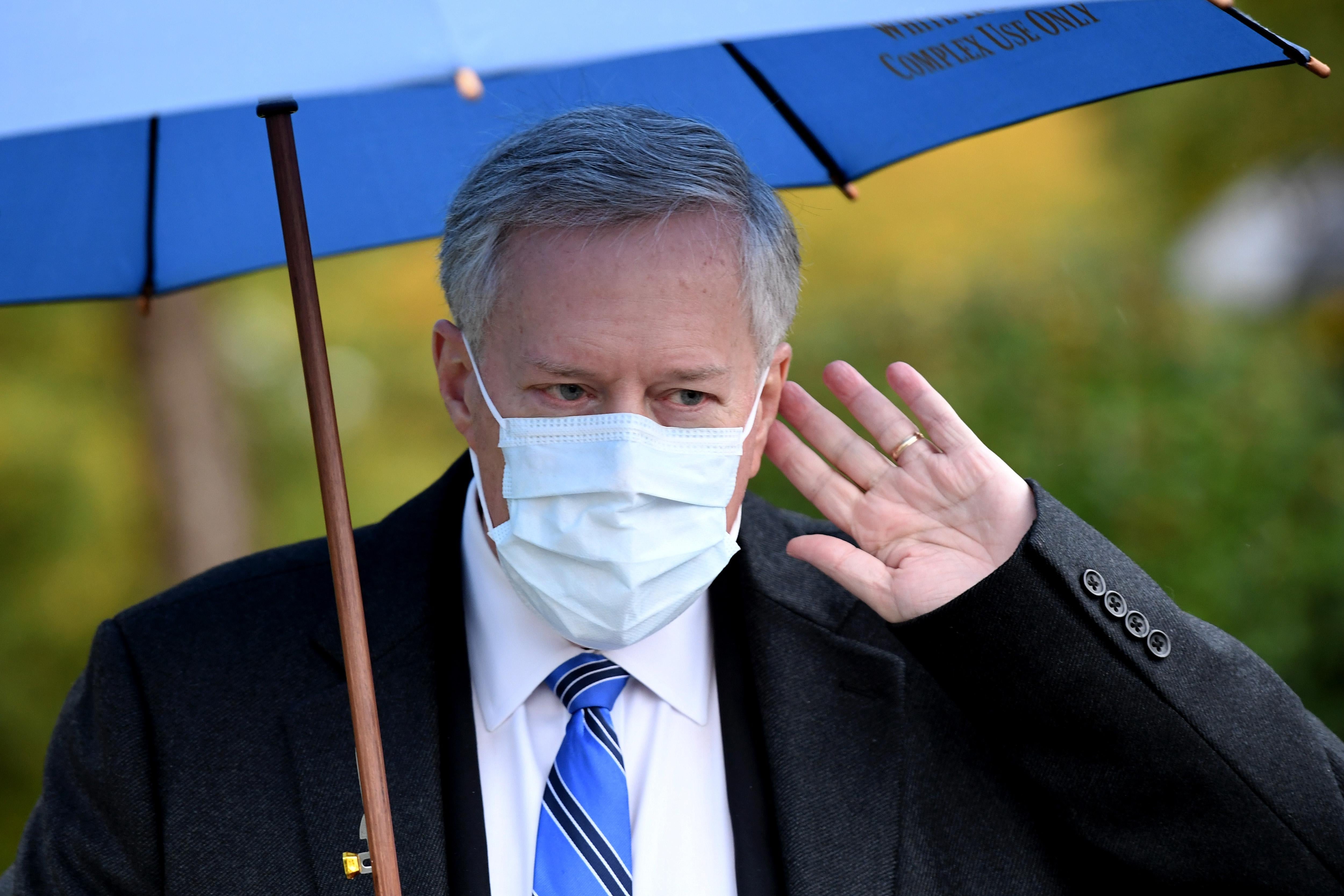 Meadows, standing under an umbrella and wearing a mask, raises his left hand to his left ear