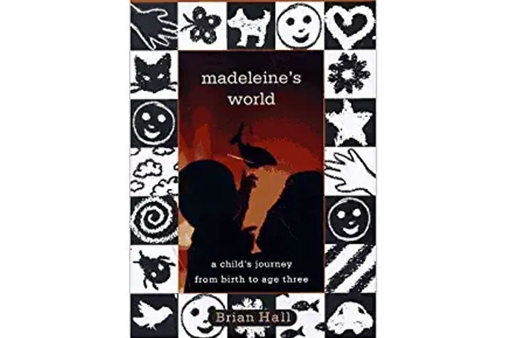 Madeleine’s World book cover.