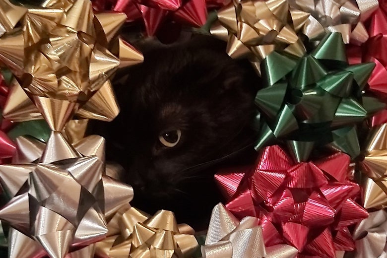 A black cat in a bow wreath!