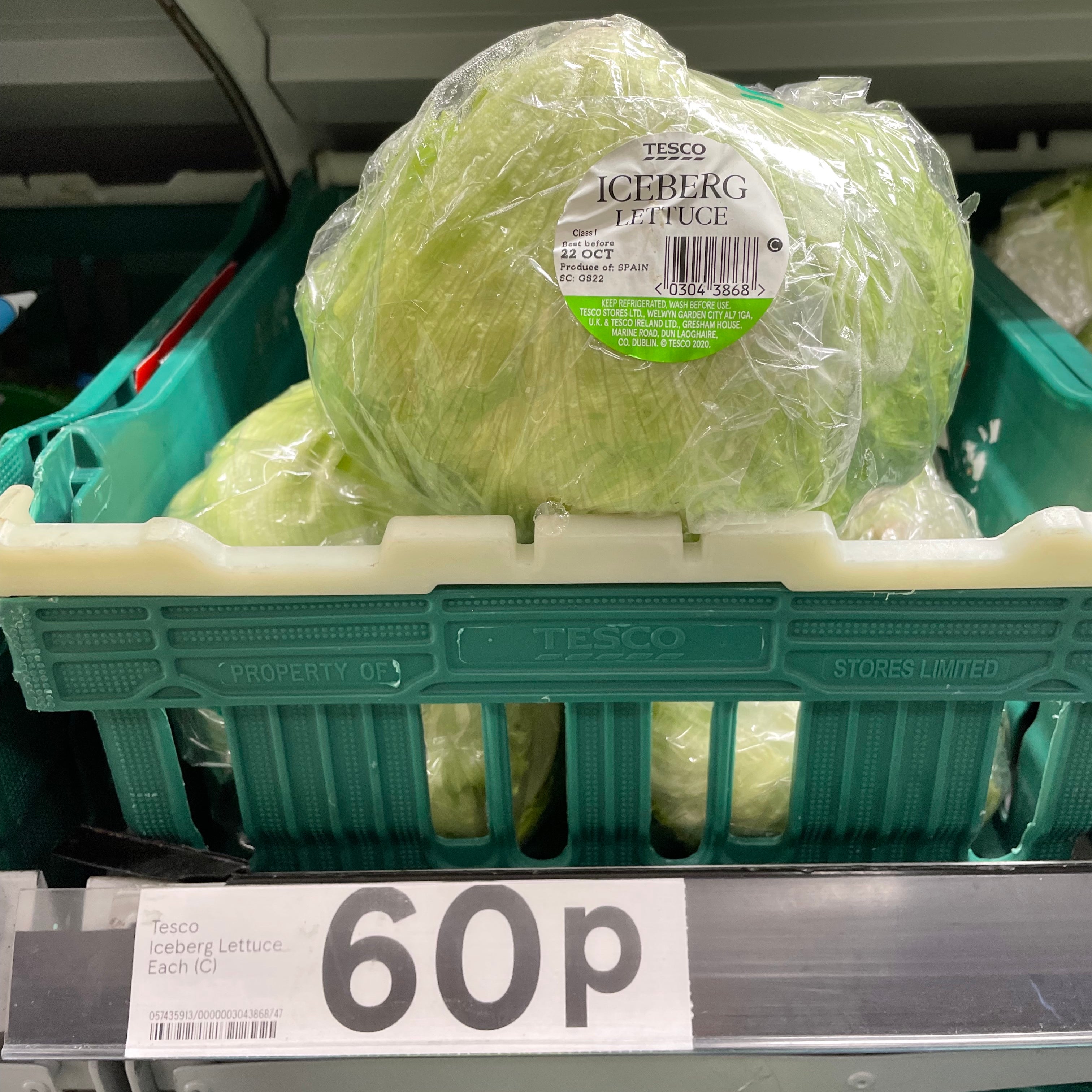 A head of lettuce at a Tesco in Scotland, UK