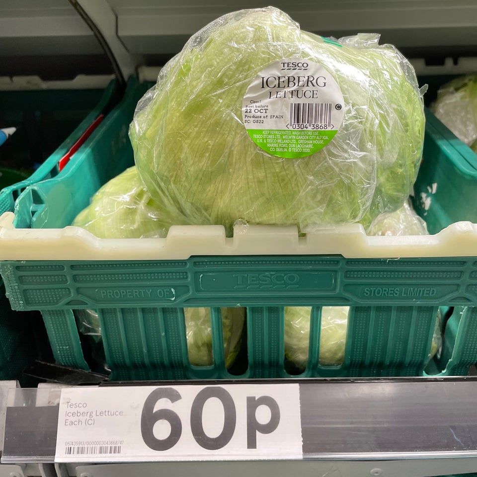 Yes, a head of lettuce outlasted Liz Truss