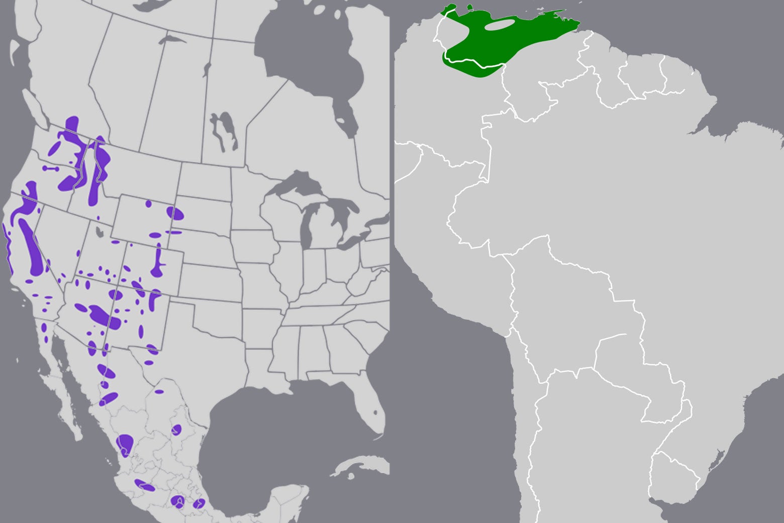 Two side-by-side maps, one featuring a bird primarily in the western region of the U.S., and the other featuring an area at the very northern tip of South America.