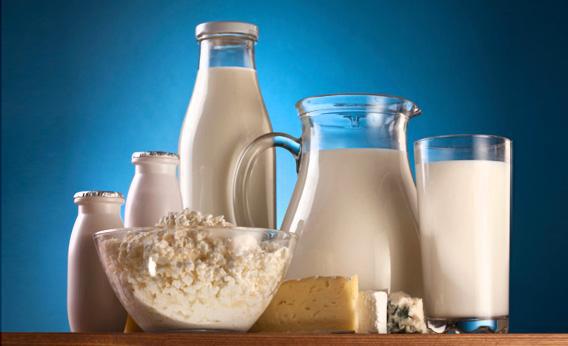 Globally, lactose intolerance is the norm; around two-thirds of humans cannot drink milk in adulthood
