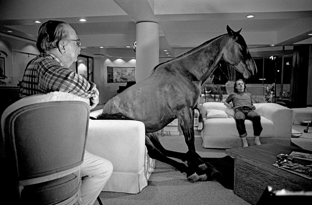 Horse on couch, Hot to Trot, 1988.