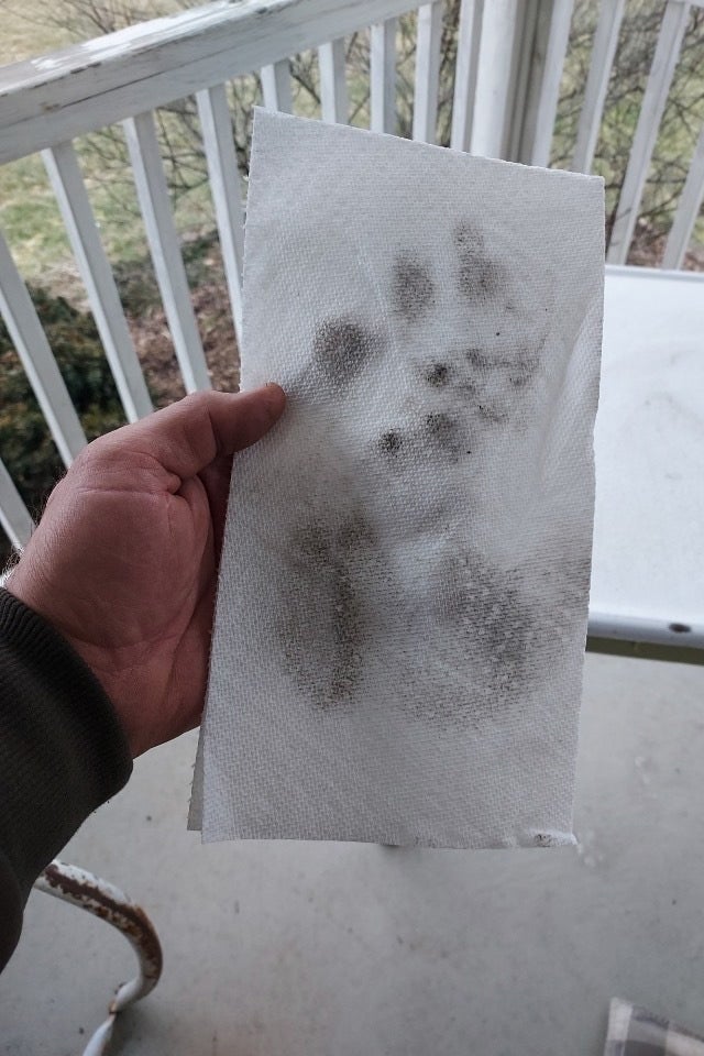 A paper towel with a dirty handprint on it.
