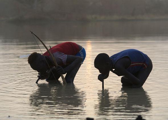 preventing the small crustaceans that carry Guinea worm larvae from being consumed.