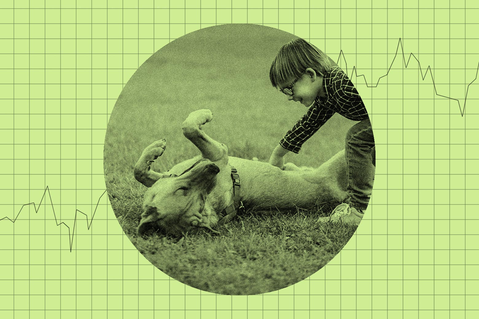 A five-year-old child is smiling and happily rubbing the belly of a medium-sized dog who also looks happy and is lying on his back in the grass. 